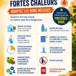Affiche VD
